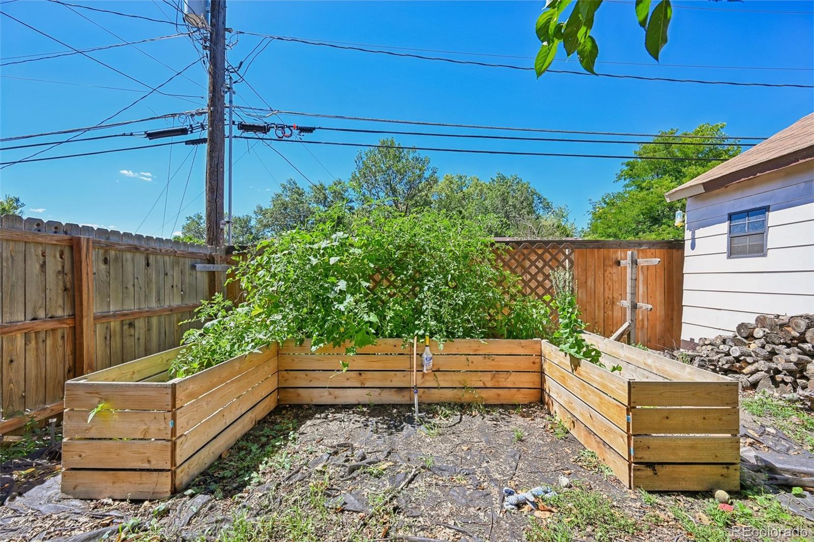 MLS Image #7 for 1710  alexander lane,colorado springs, Colorado