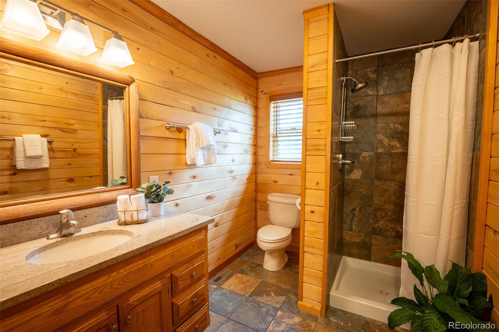 MLS Image #10 for 186  spring beauty drive,silverthorne, Colorado