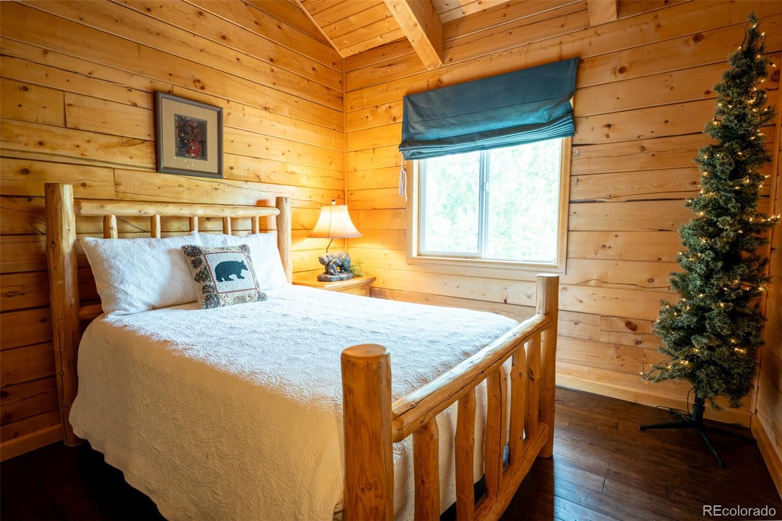 MLS Image #11 for 186  spring beauty drive,silverthorne, Colorado