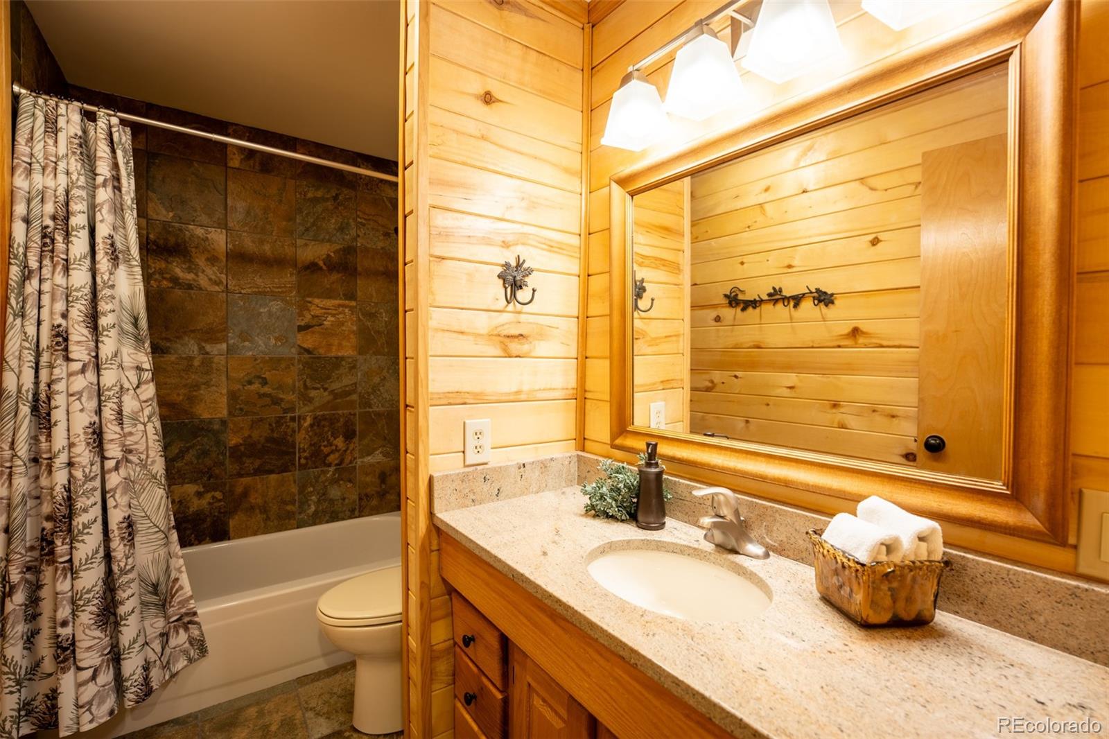 MLS Image #12 for 186  spring beauty drive,silverthorne, Colorado