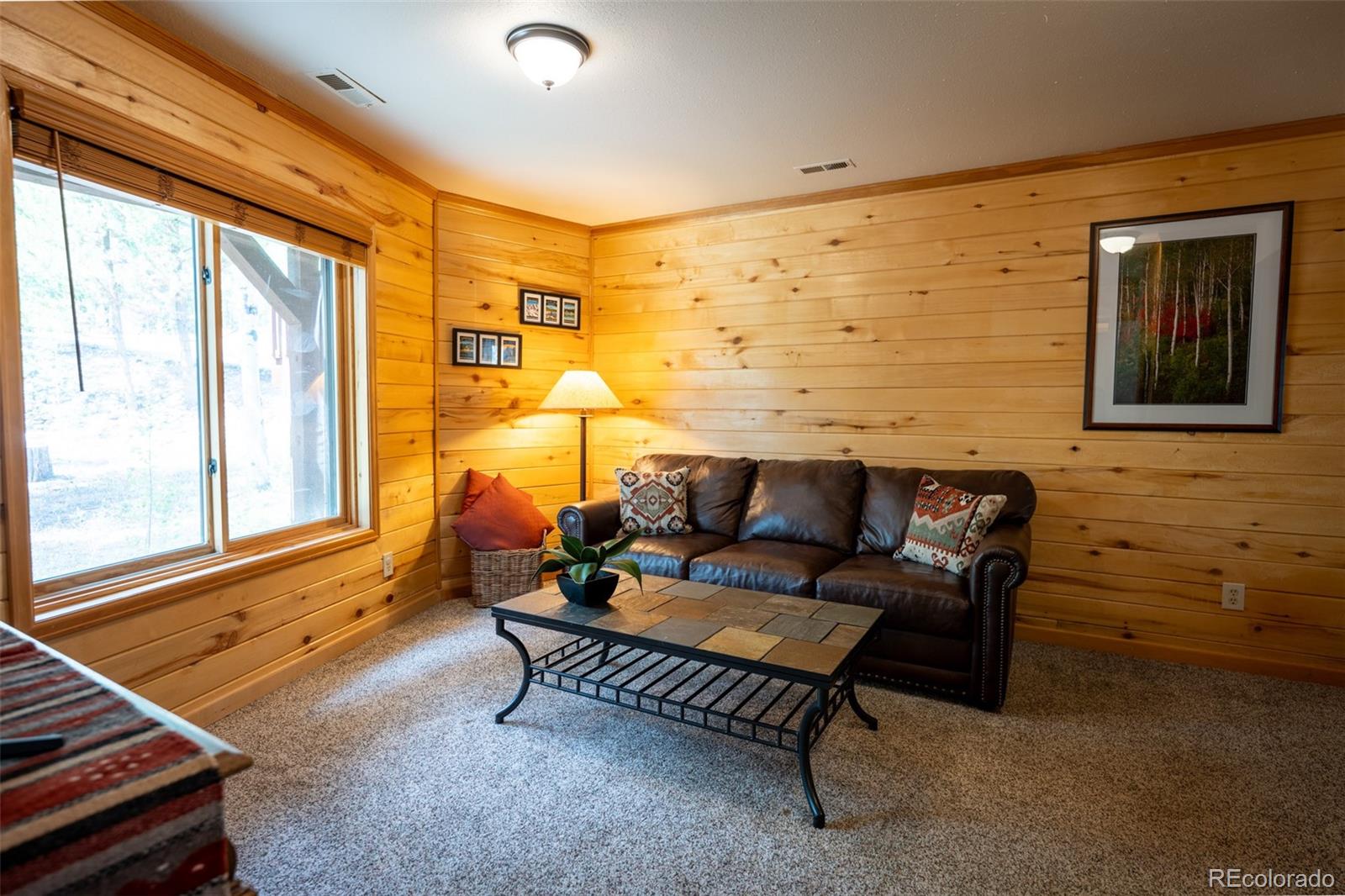 MLS Image #17 for 186  spring beauty drive,silverthorne, Colorado