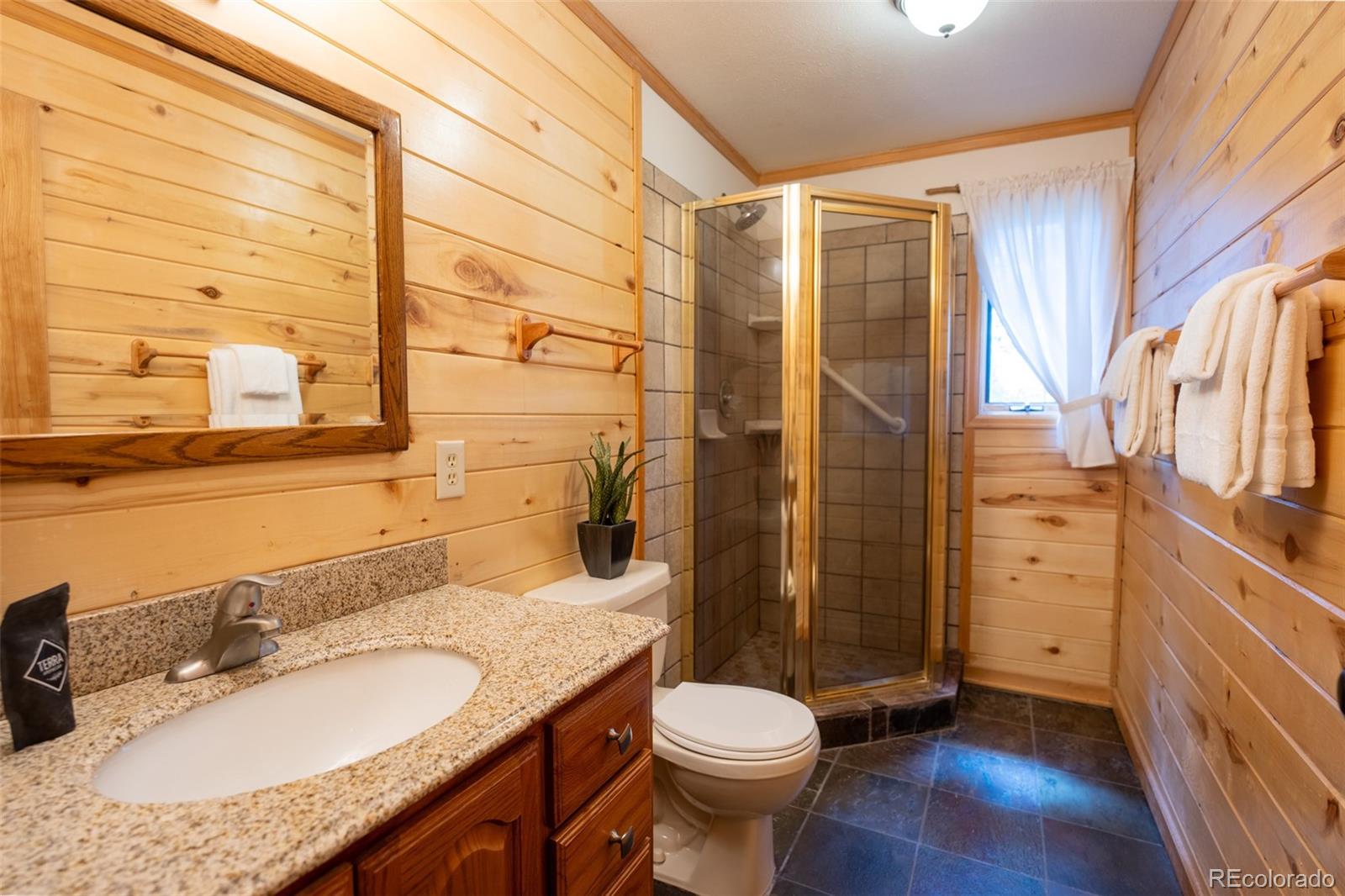 MLS Image #20 for 186  spring beauty drive,silverthorne, Colorado