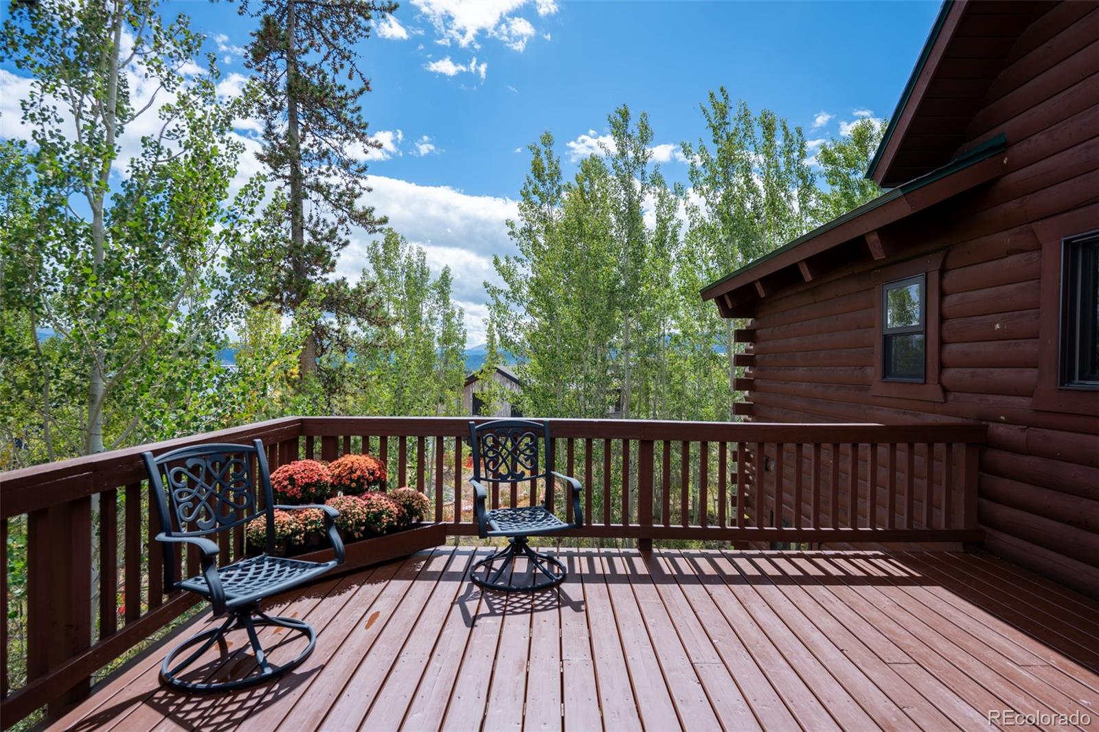 MLS Image #22 for 186  spring beauty drive,silverthorne, Colorado