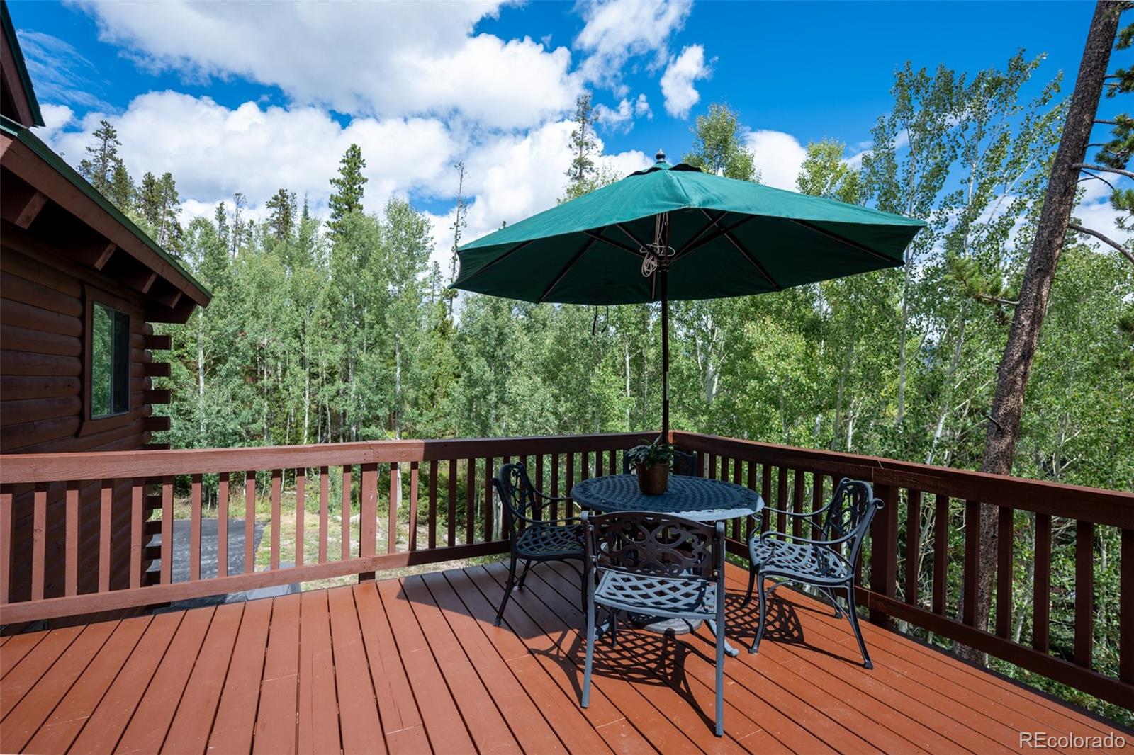 MLS Image #23 for 186  spring beauty drive,silverthorne, Colorado