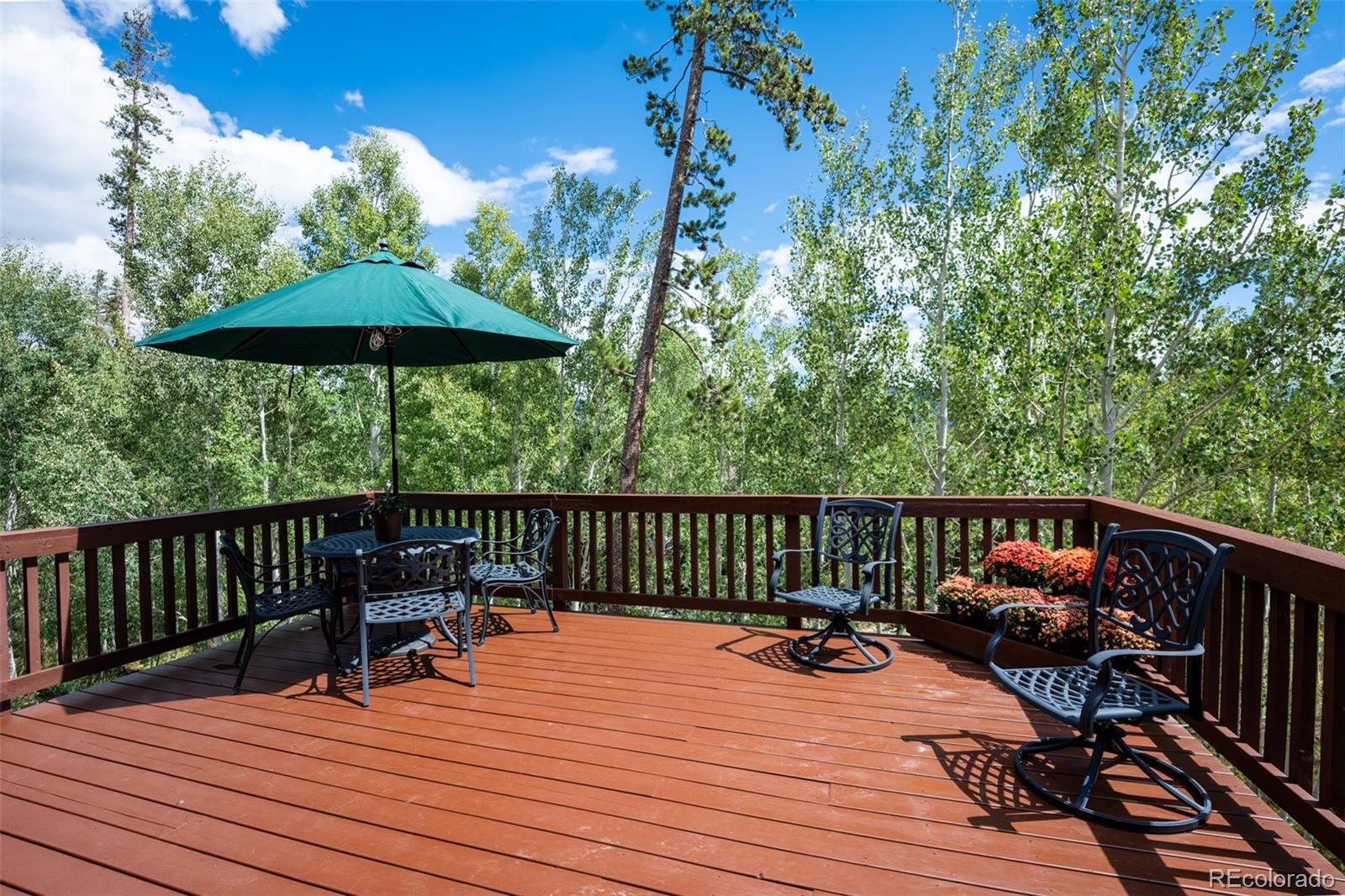 MLS Image #24 for 186  spring beauty drive,silverthorne, Colorado