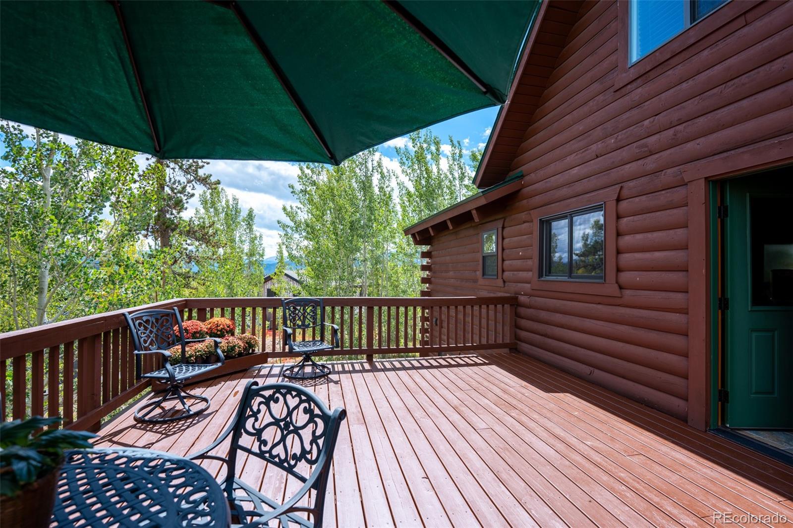 MLS Image #25 for 186  spring beauty drive,silverthorne, Colorado