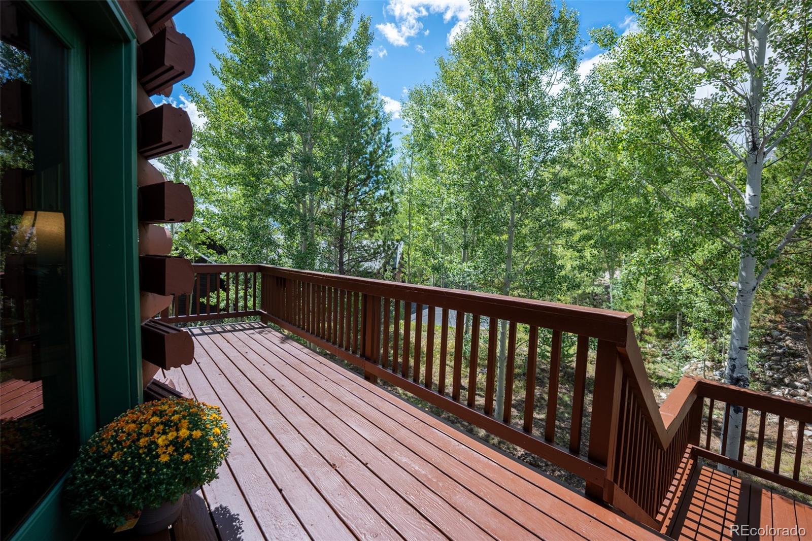 MLS Image #26 for 186  spring beauty drive,silverthorne, Colorado