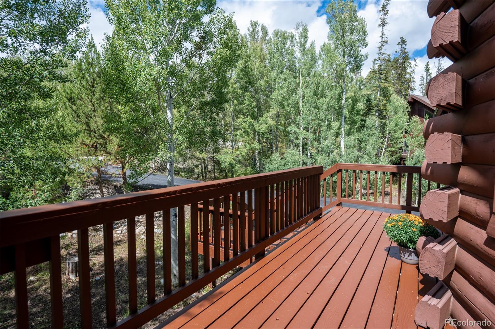 MLS Image #27 for 186  spring beauty drive,silverthorne, Colorado