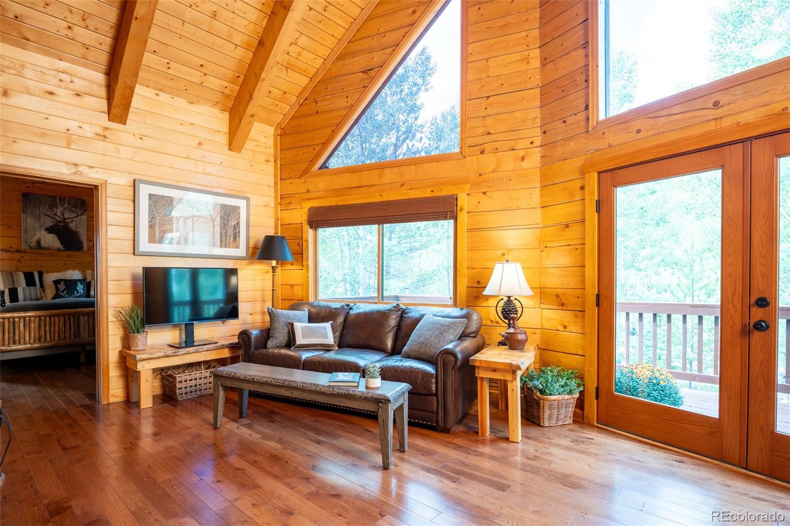 MLS Image #3 for 186  spring beauty drive,silverthorne, Colorado