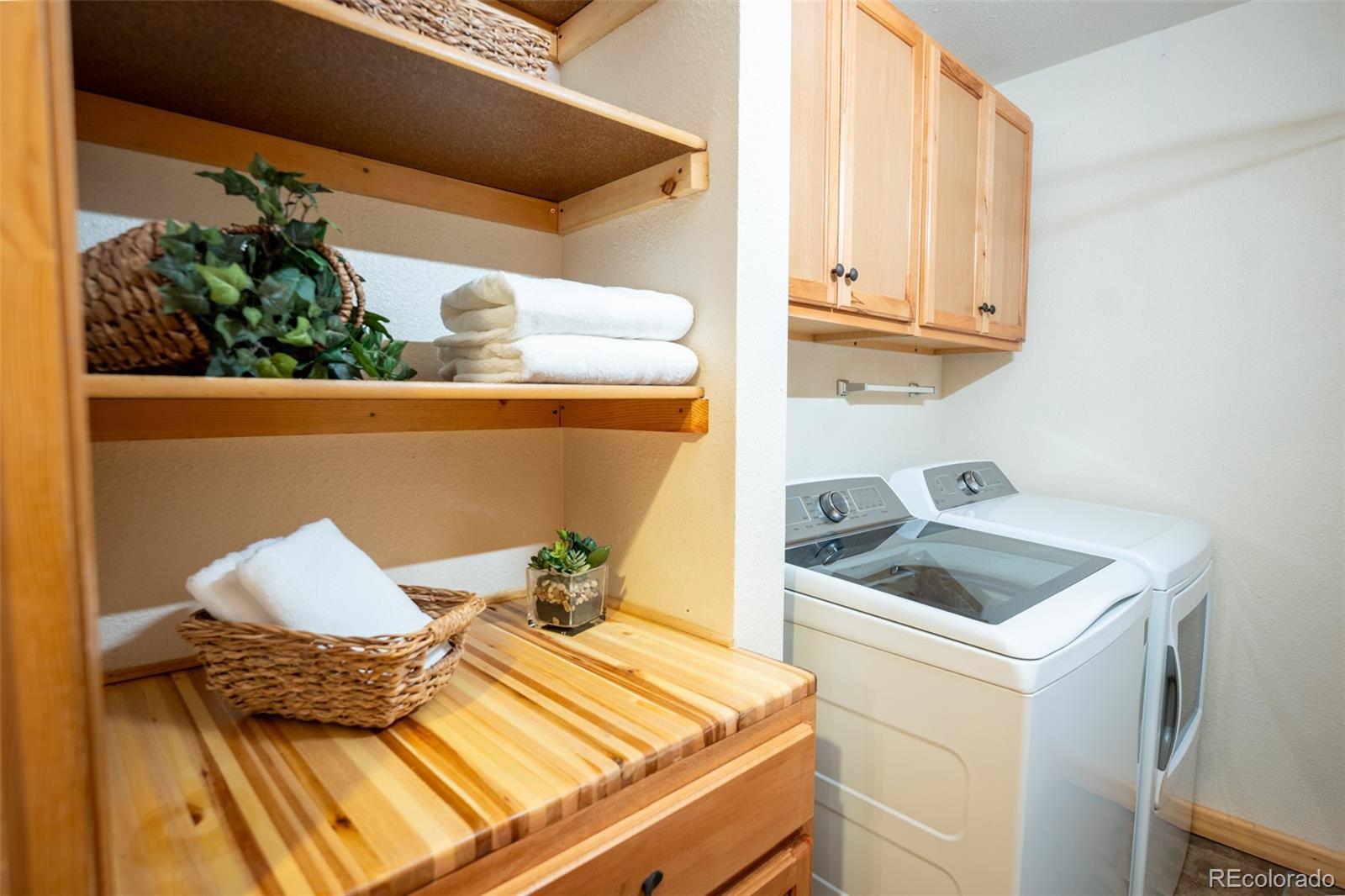 MLS Image #7 for 186  spring beauty drive,silverthorne, Colorado