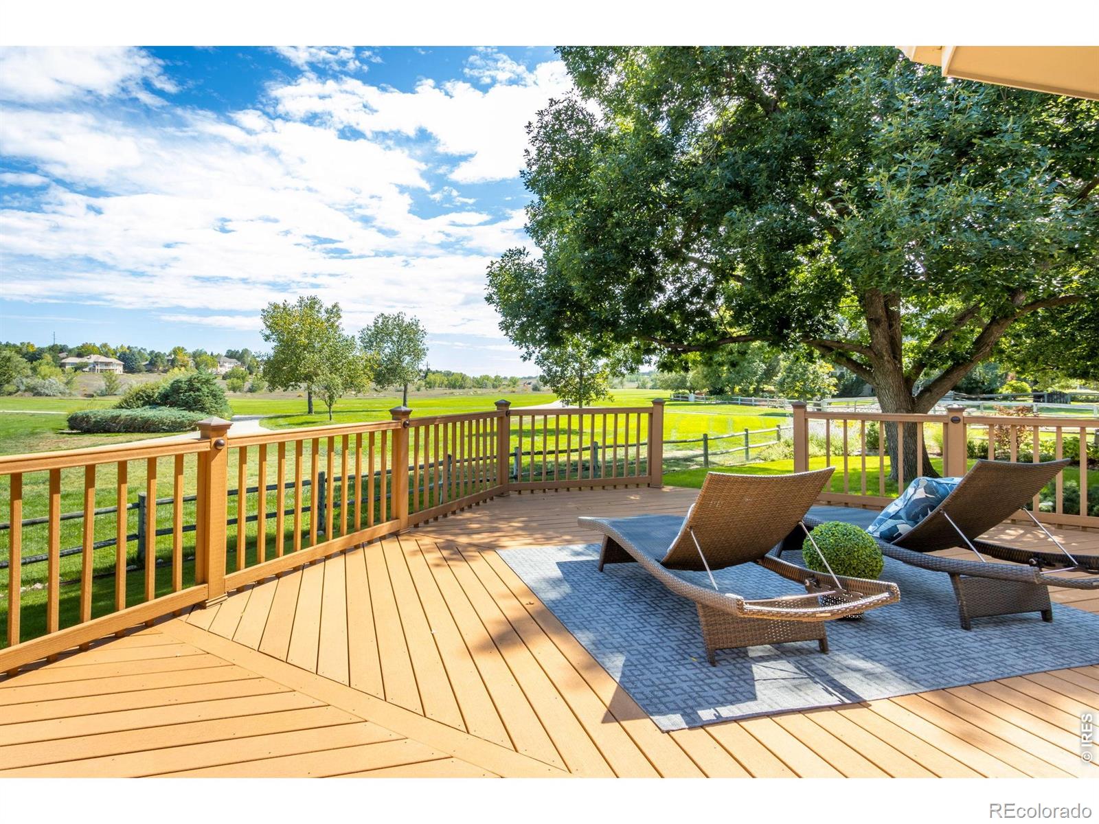 MLS Image #11 for 1218  chickadee court,fort collins, Colorado