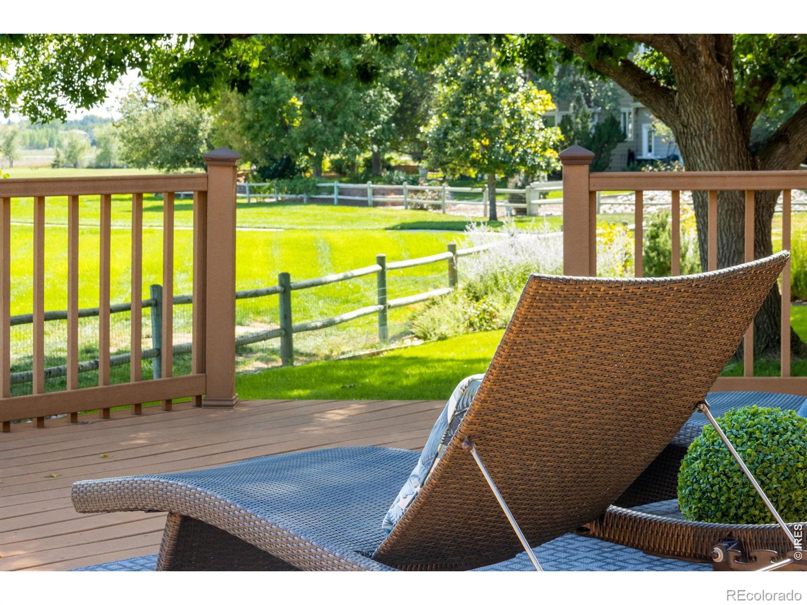 MLS Image #12 for 1218  chickadee court,fort collins, Colorado