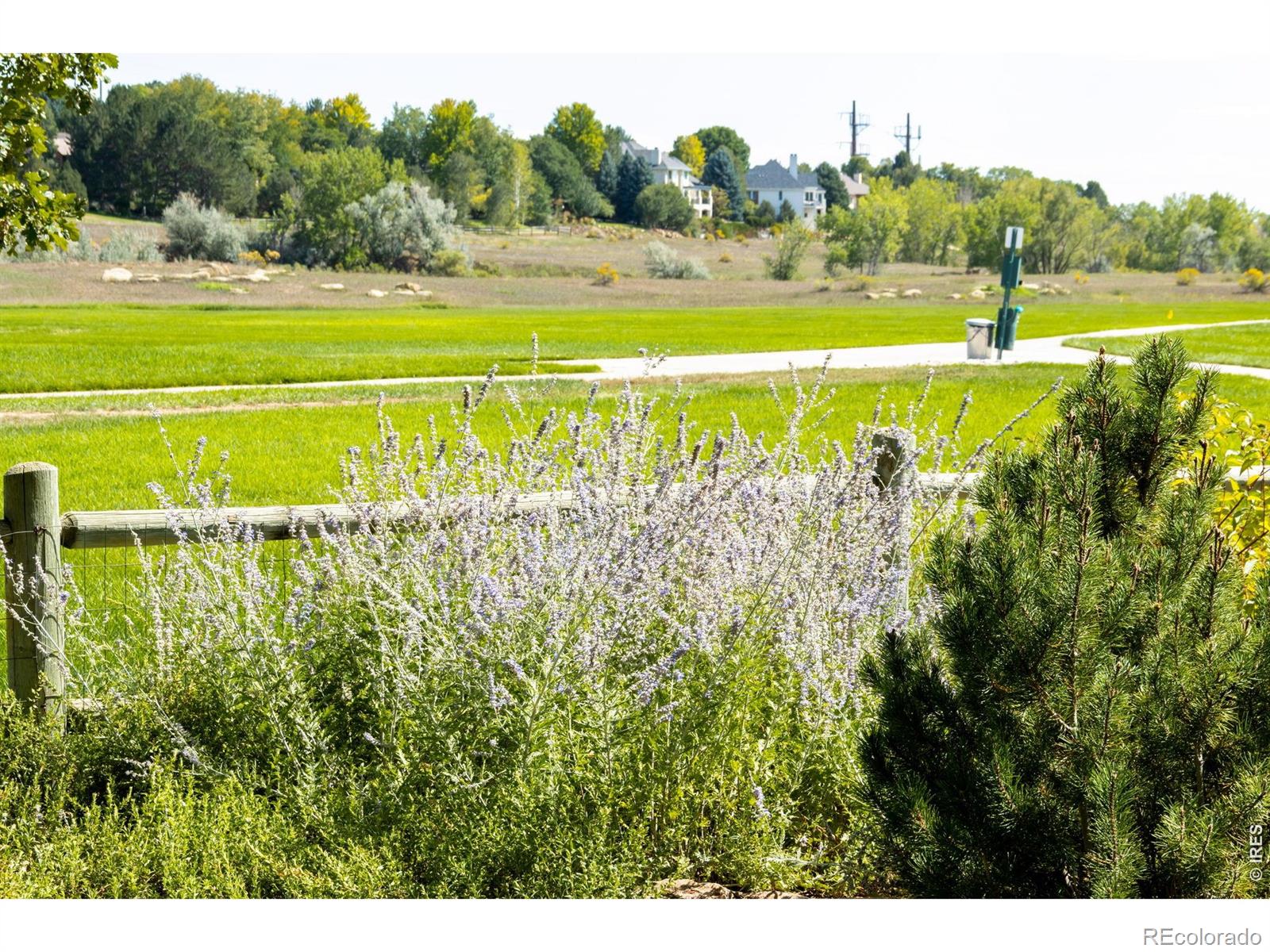 MLS Image #48 for 1218  chickadee court,fort collins, Colorado