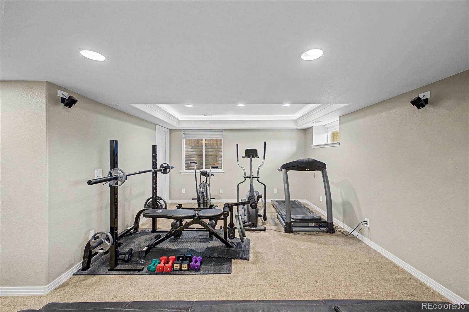 MLS Image #21 for 9230  lark sparrow drive,highlands ranch, Colorado