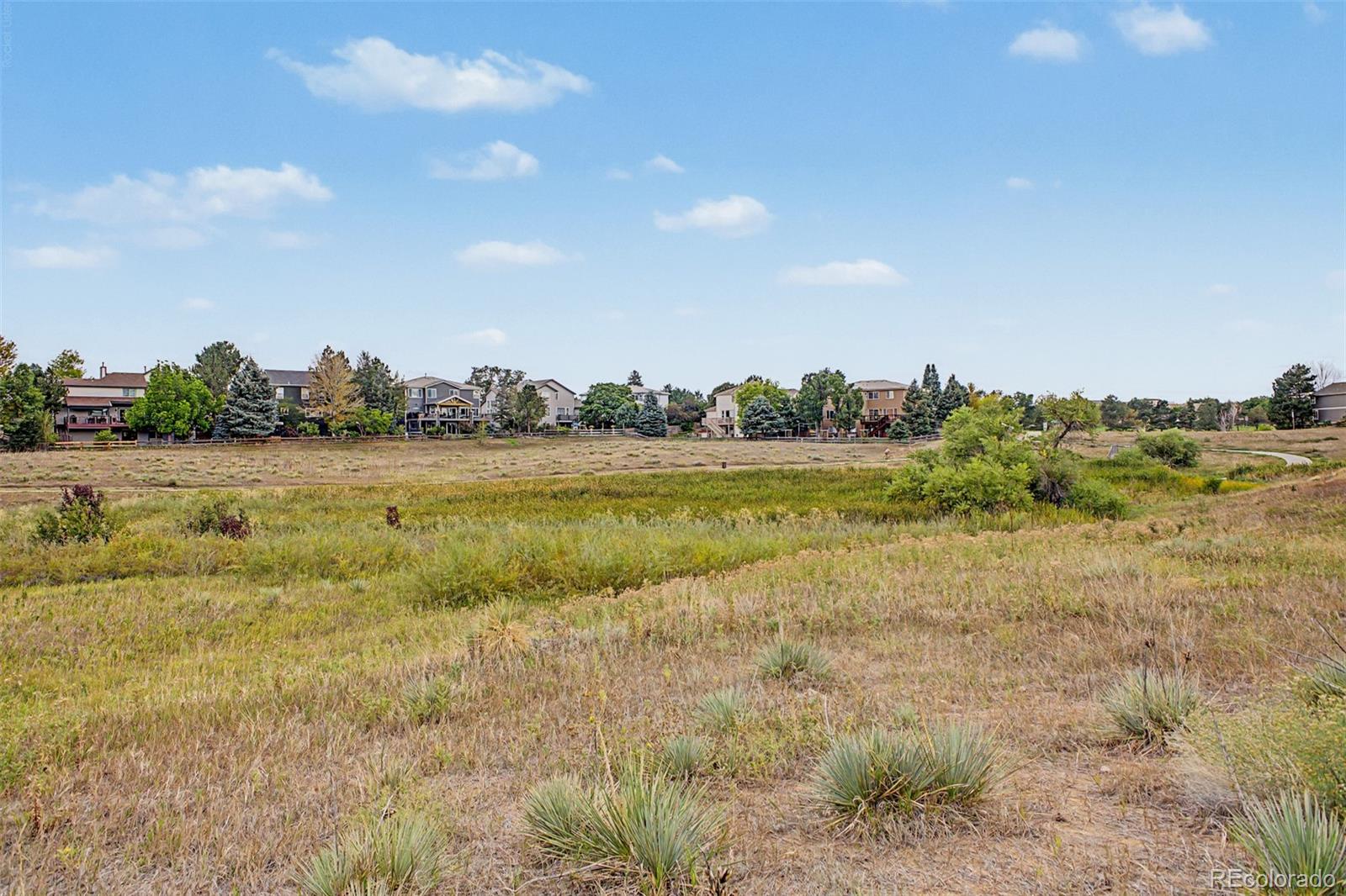MLS Image #4 for 9230  lark sparrow drive,highlands ranch, Colorado