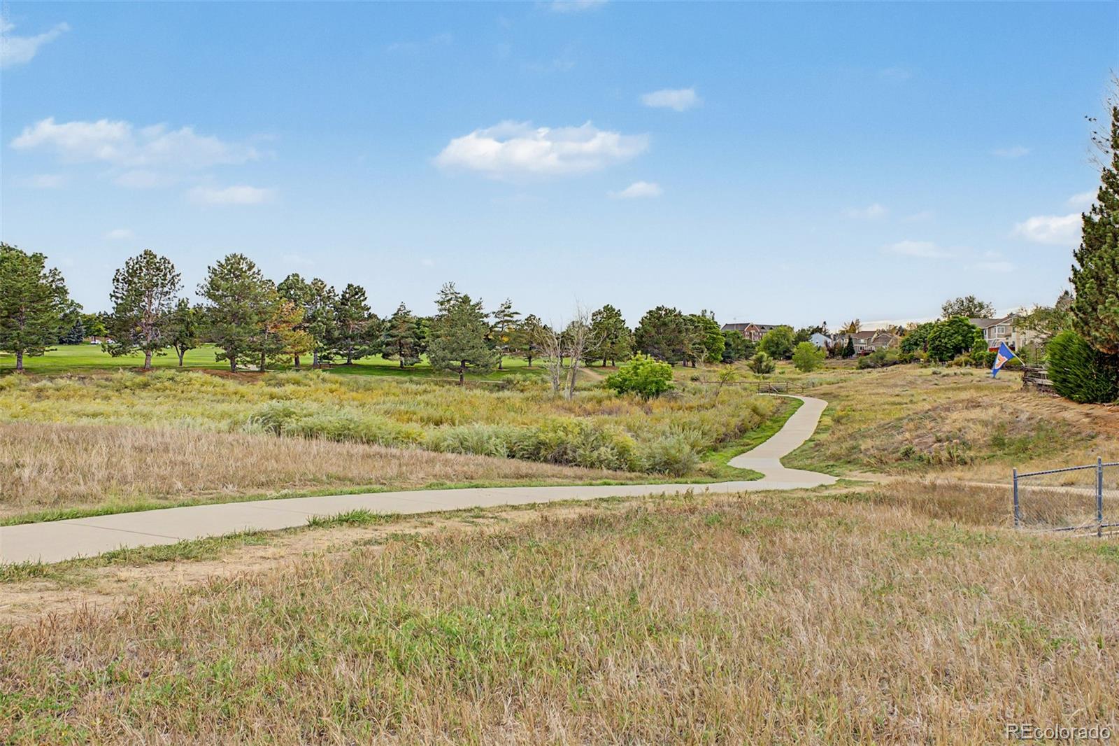 MLS Image #6 for 9230  lark sparrow drive,highlands ranch, Colorado