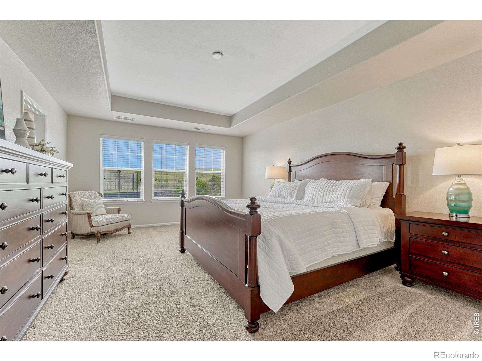 MLS Image #20 for 15048  yellowthroat street,parker, Colorado
