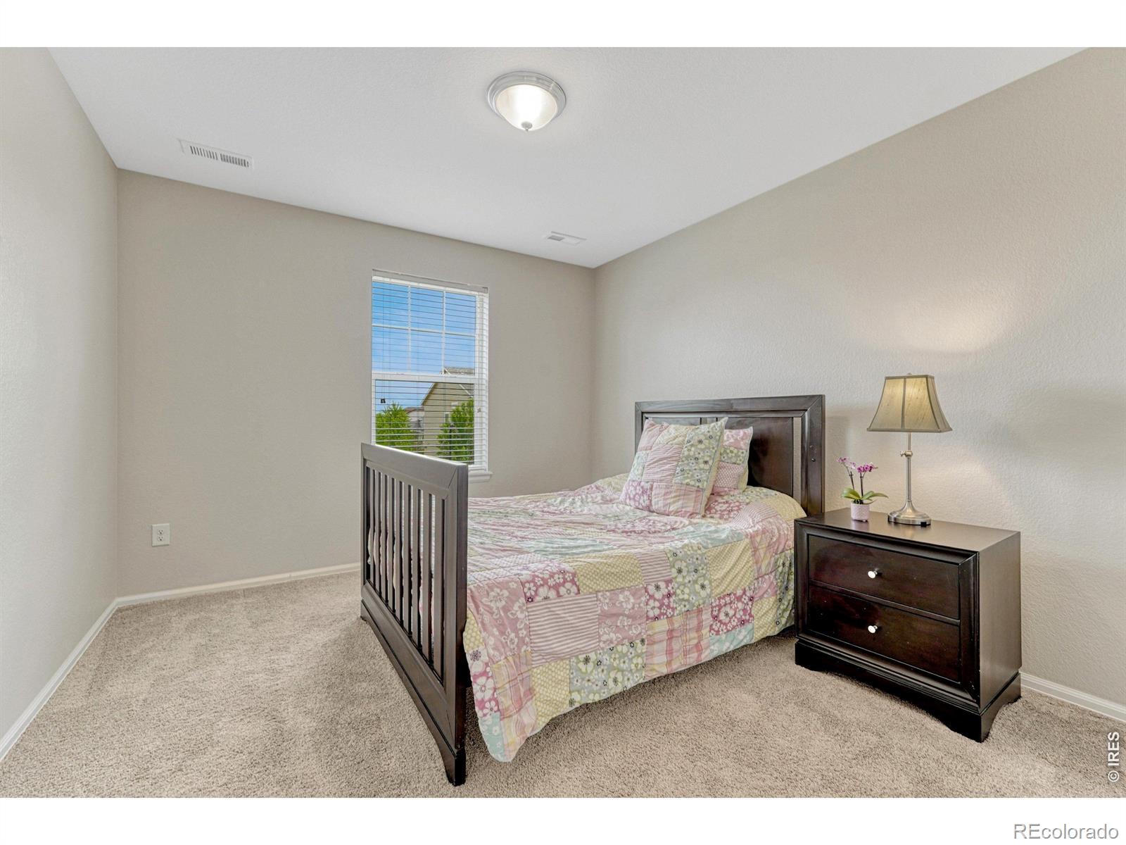 MLS Image #26 for 15048  yellowthroat street,parker, Colorado