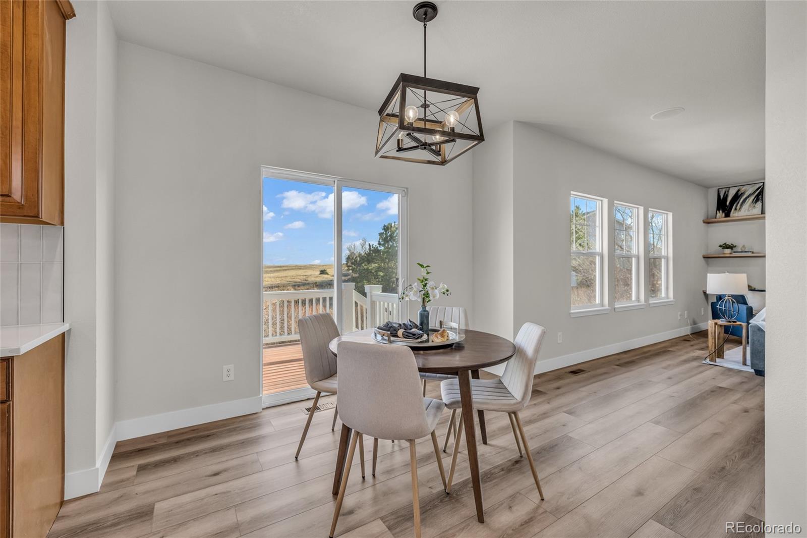 MLS Image #18 for 858  dutton court,castle rock, Colorado