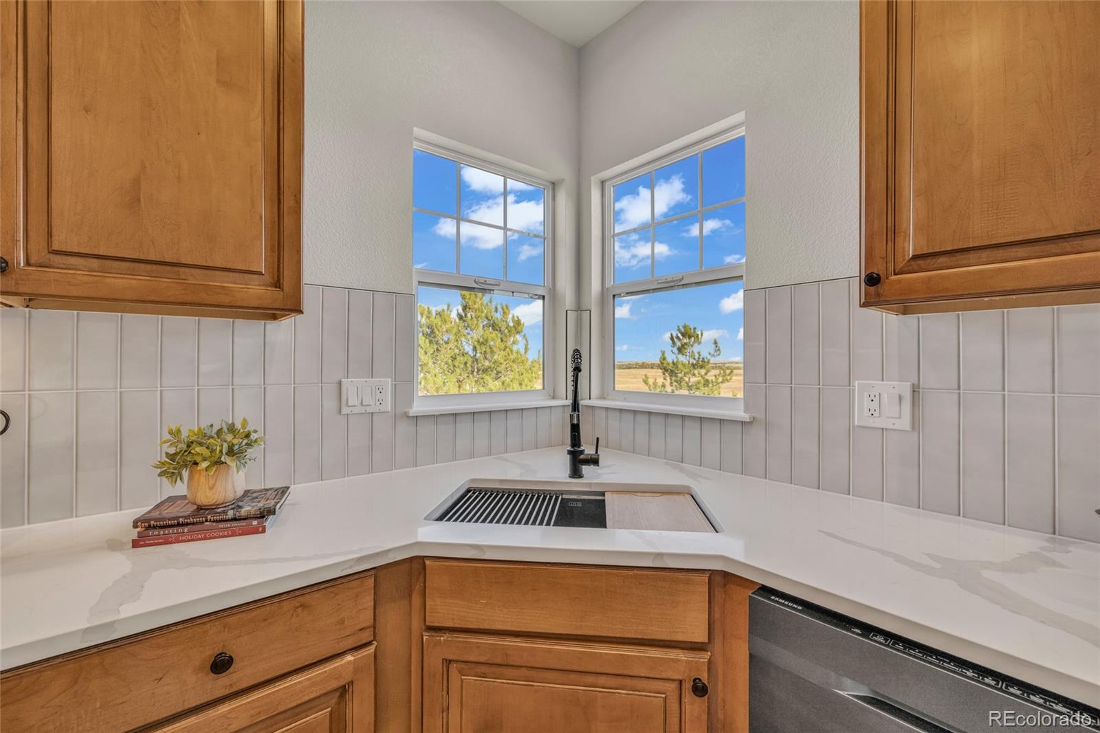 MLS Image #21 for 858  dutton court,castle rock, Colorado