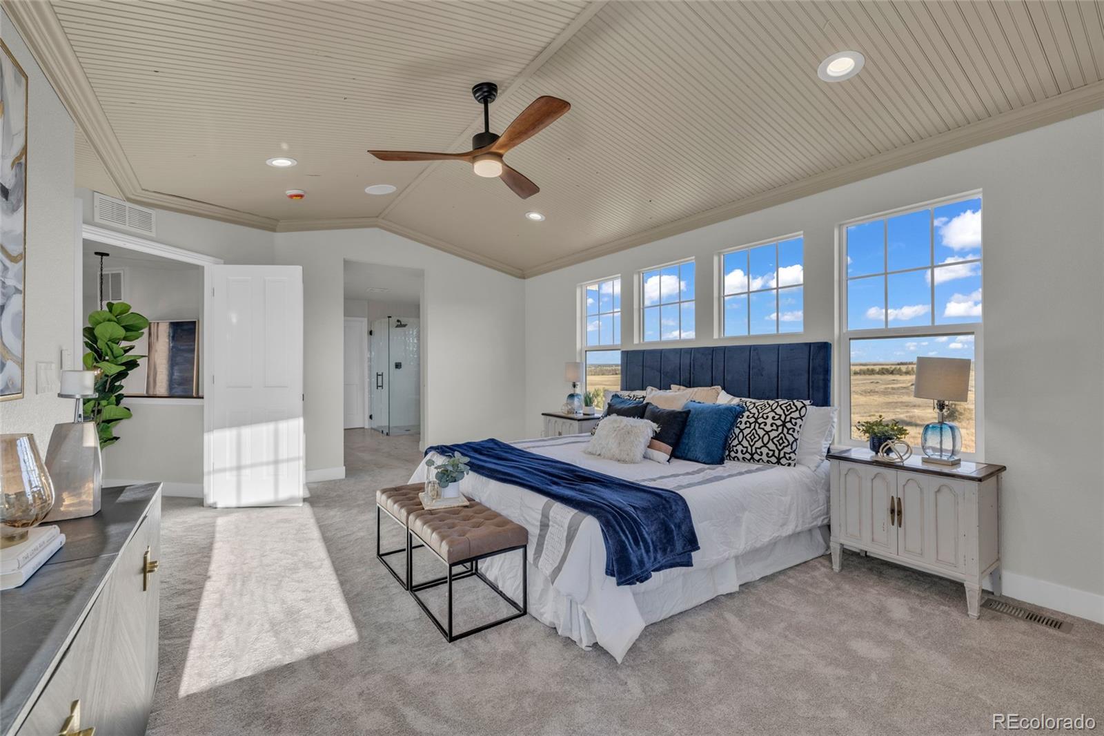 MLS Image #25 for 858  dutton court,castle rock, Colorado
