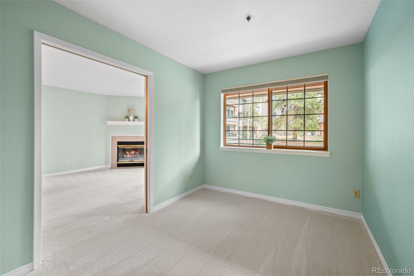 MLS Image #14 for 31819  rocky village drive,evergreen, Colorado