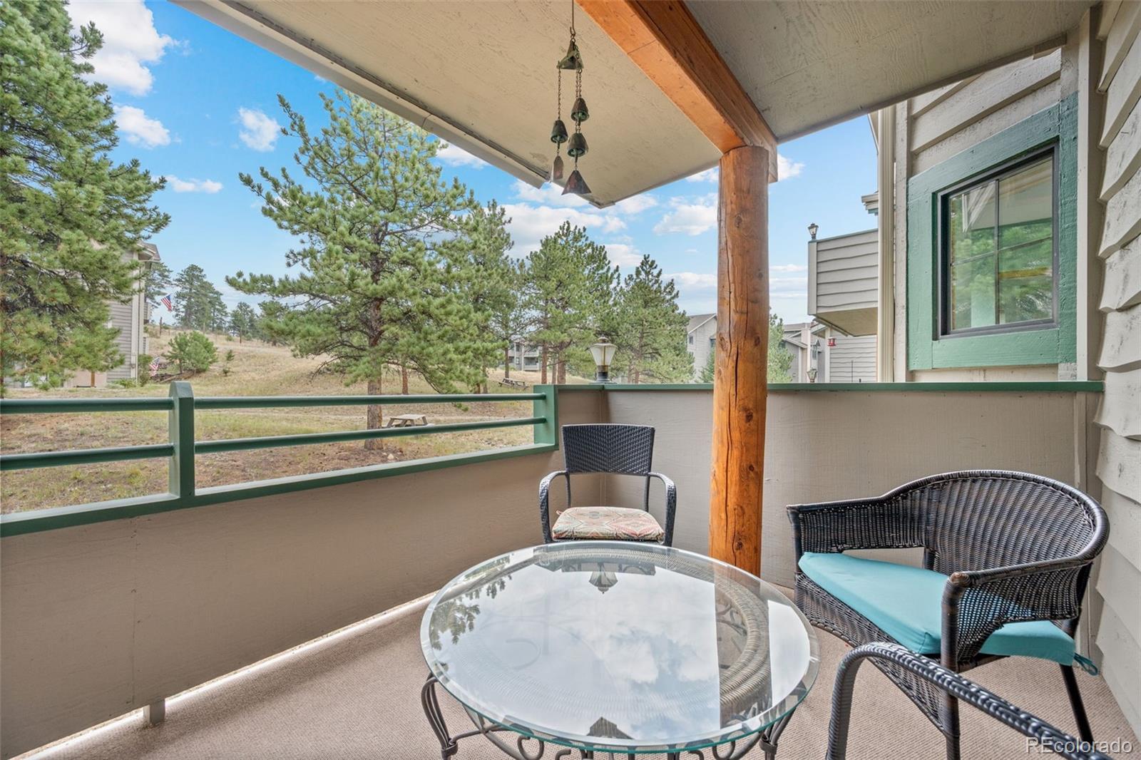 MLS Image #19 for 31819  rocky village drive,evergreen, Colorado