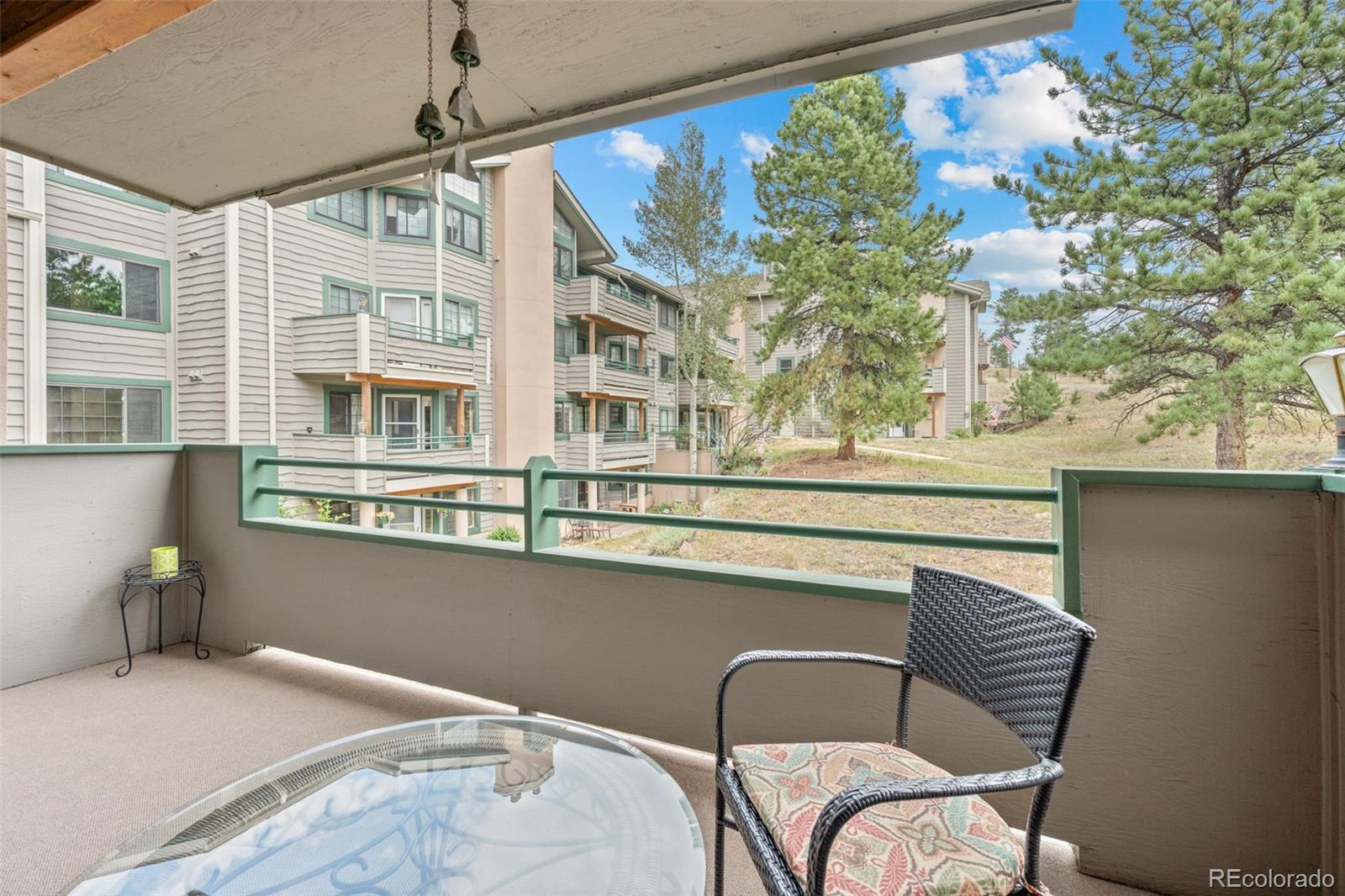 MLS Image #20 for 31819  rocky village drive,evergreen, Colorado