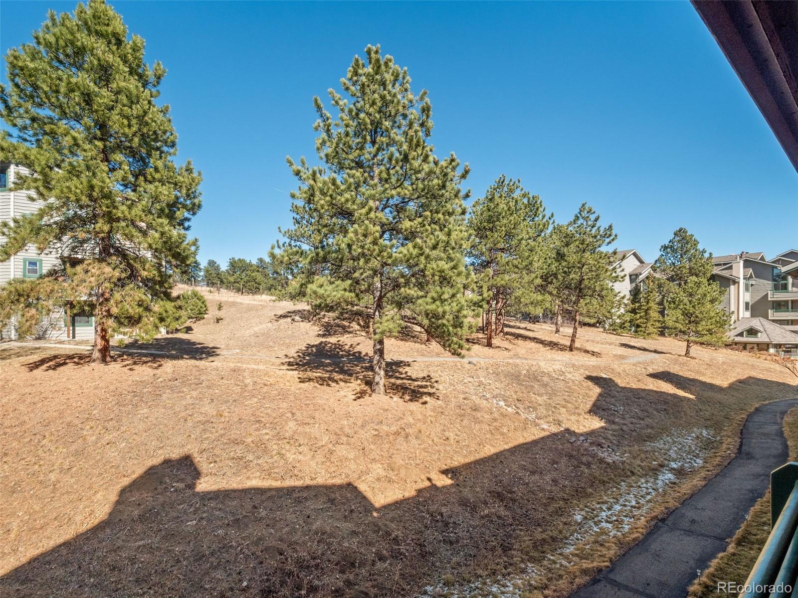 MLS Image #21 for 31819  rocky village drive,evergreen, Colorado