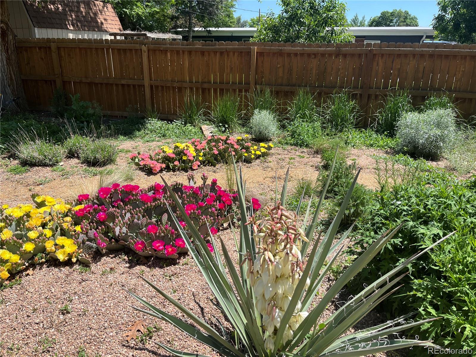 MLS Image #25 for 5910  estes court,arvada, Colorado