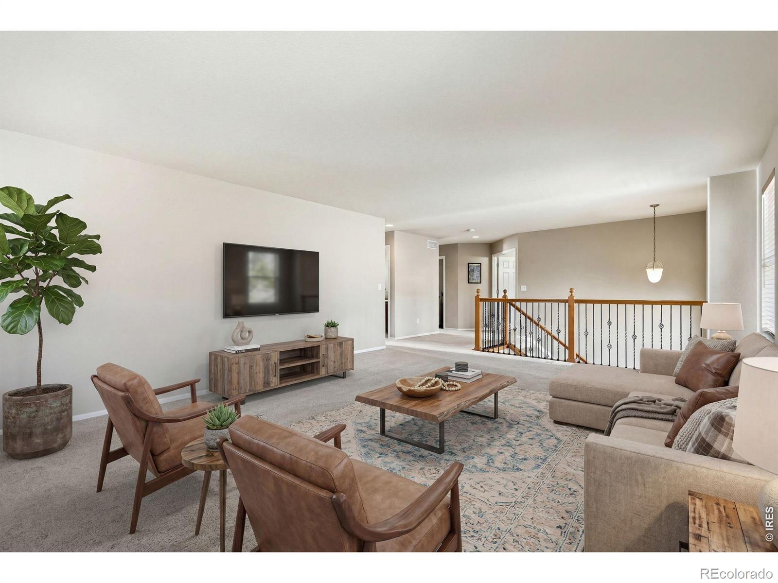 MLS Image #5 for 123  falcon lane,lyons, Colorado
