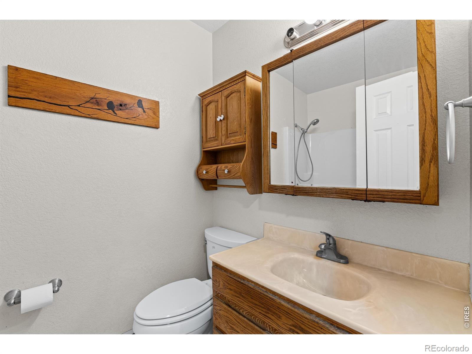 MLS Image #19 for 1465  melissa drive,loveland, Colorado