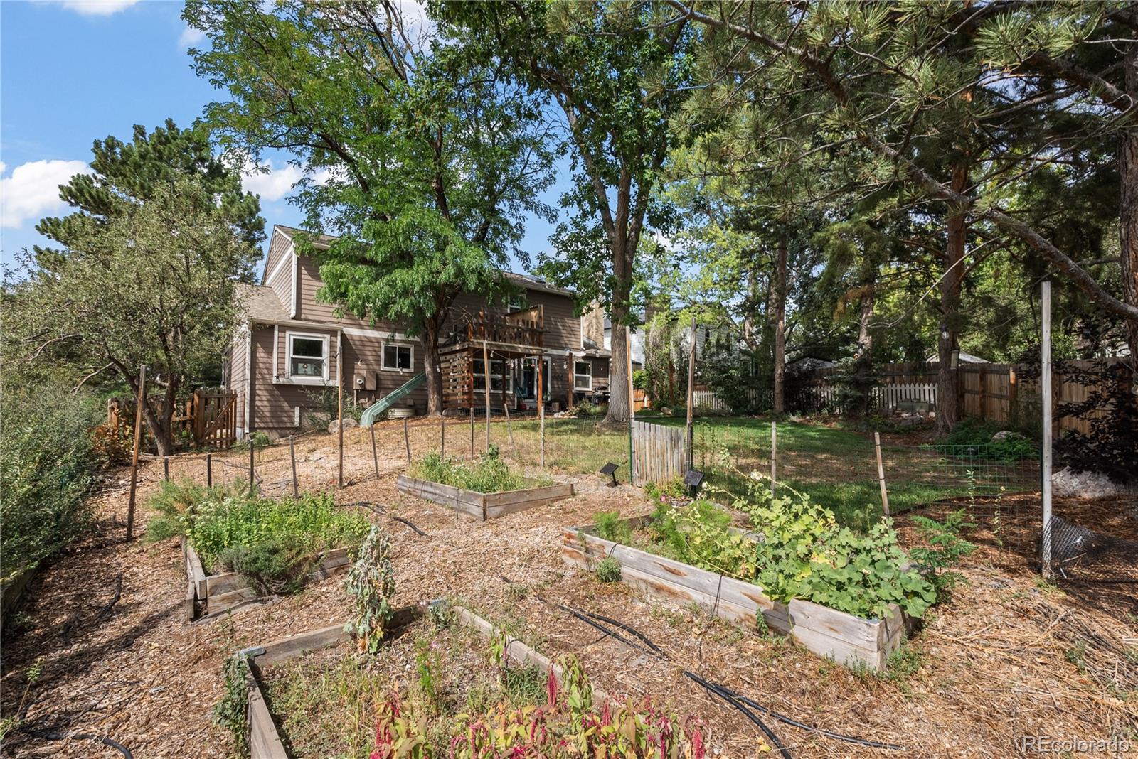 MLS Image #38 for 7376 s miller court,littleton, Colorado