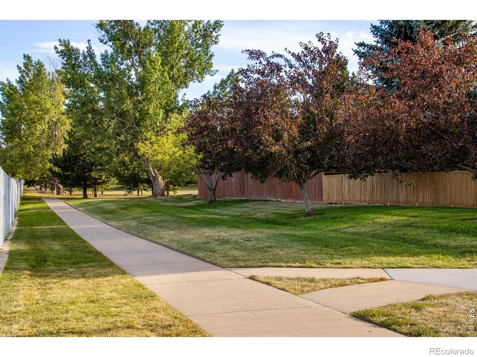 MLS Image #8 for 4214  rolling gate road,fort collins, Colorado