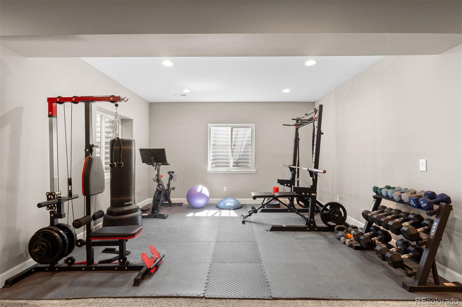MLS Image #17 for 8480  arapahoe peak street,littleton, Colorado