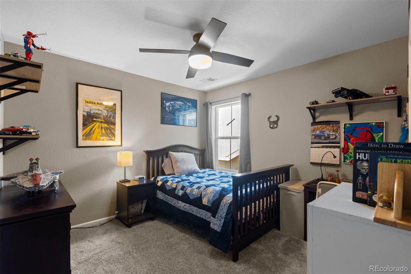 MLS Image #26 for 8480  arapahoe peak street,littleton, Colorado