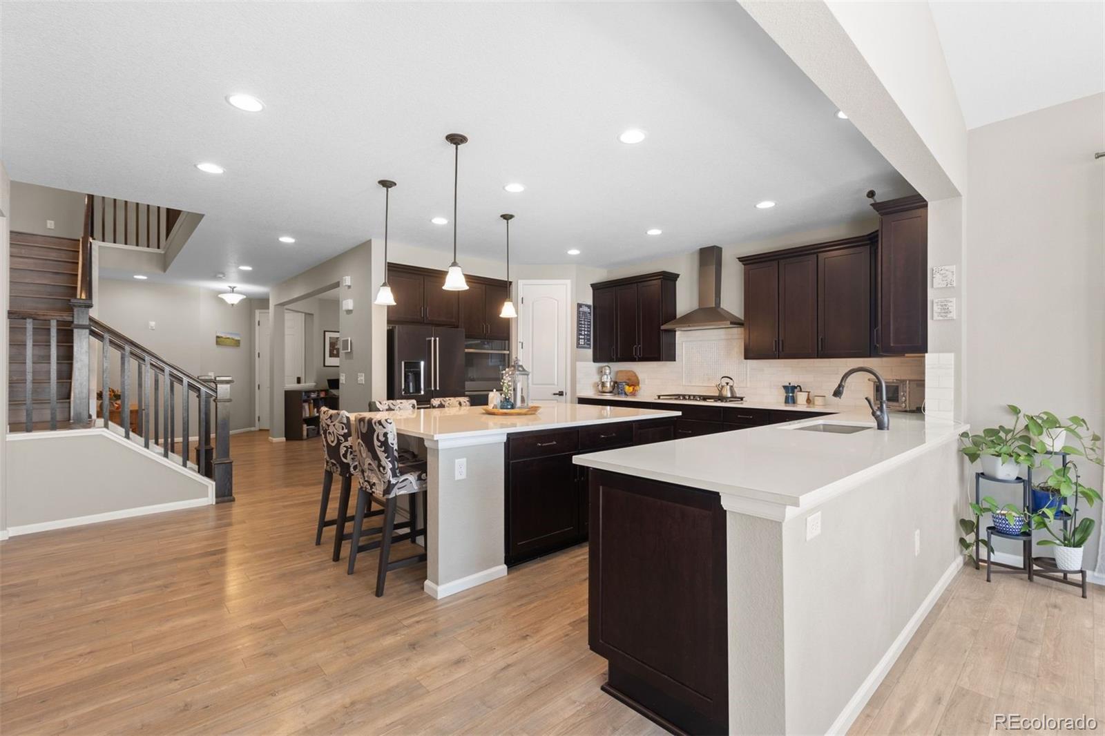 MLS Image #3 for 8480  arapahoe peak street,littleton, Colorado