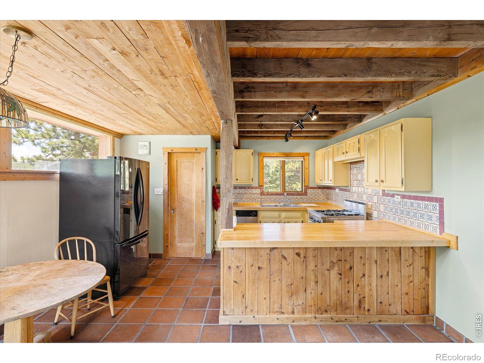 MLS Image #10 for 241  pine glade road,nederland, Colorado
