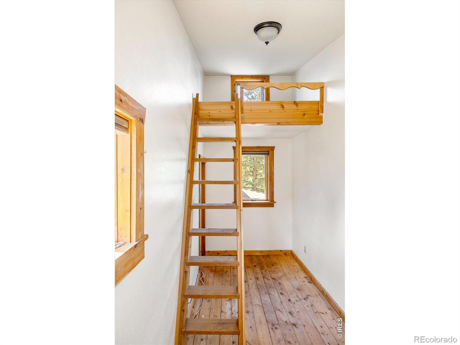 MLS Image #26 for 241  pine glade road,nederland, Colorado