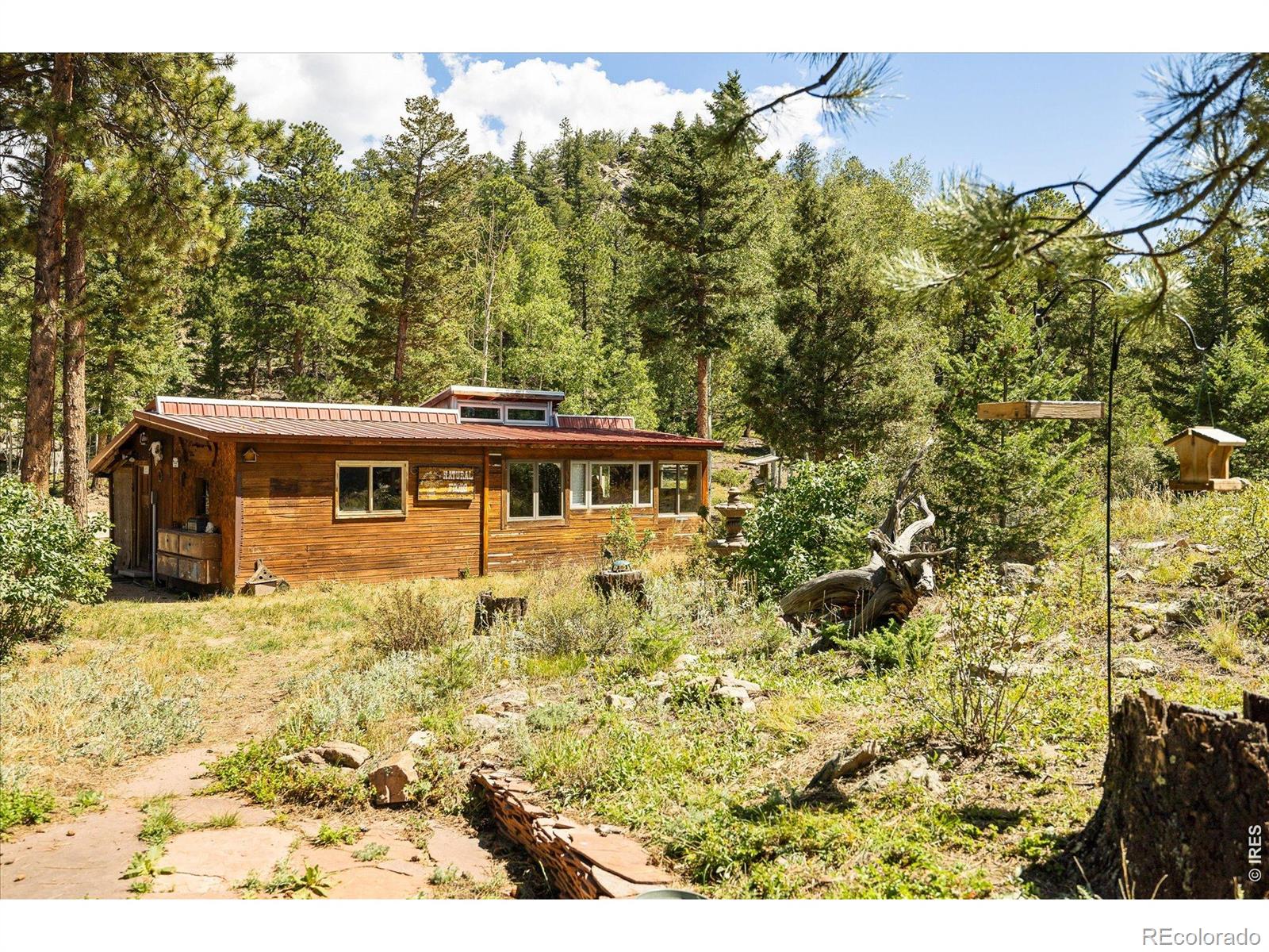 MLS Image #28 for 241  pine glade road,nederland, Colorado