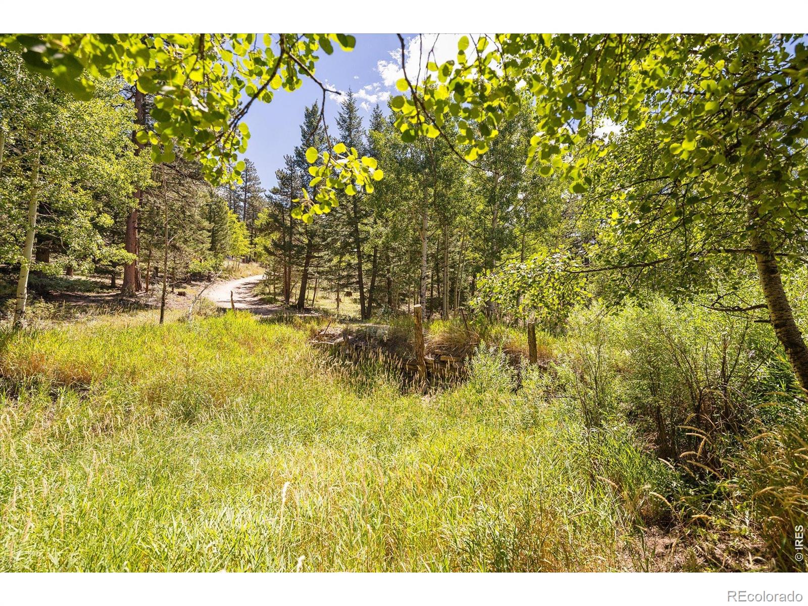 MLS Image #34 for 241  pine glade road,nederland, Colorado