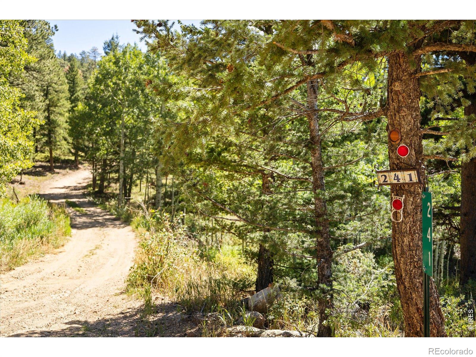 MLS Image #35 for 241  pine glade road,nederland, Colorado