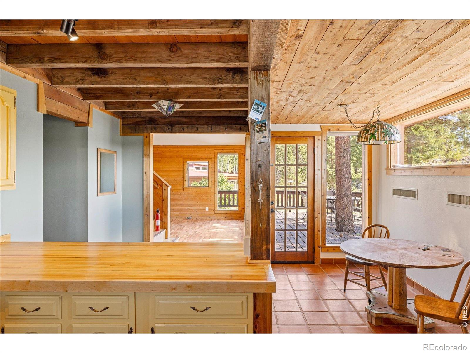 MLS Image #8 for 241  pine glade road,nederland, Colorado