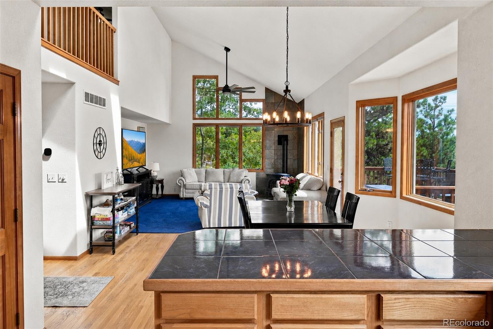 MLS Image #16 for 3612  ridge road,nederland, Colorado