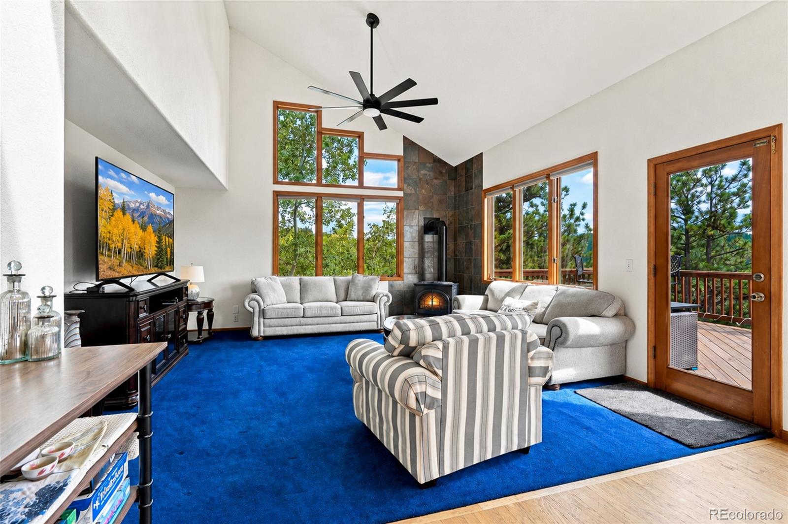 MLS Image #4 for 3612  ridge road,nederland, Colorado