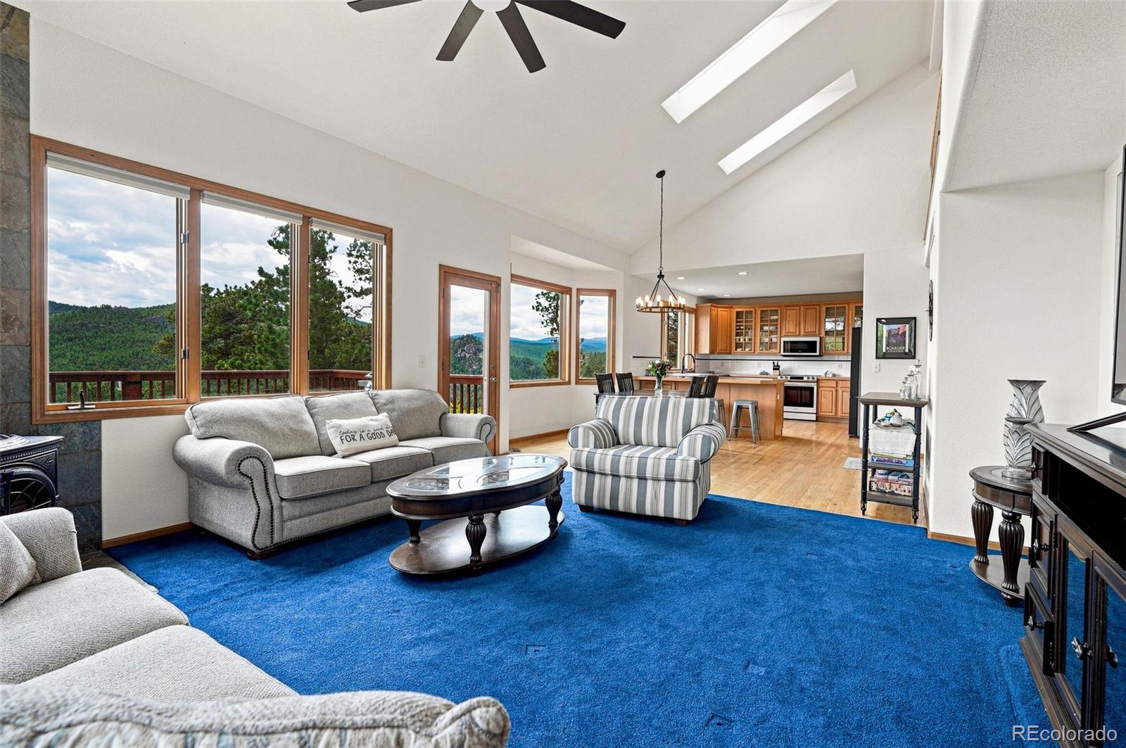 MLS Image #8 for 3612  ridge road,nederland, Colorado