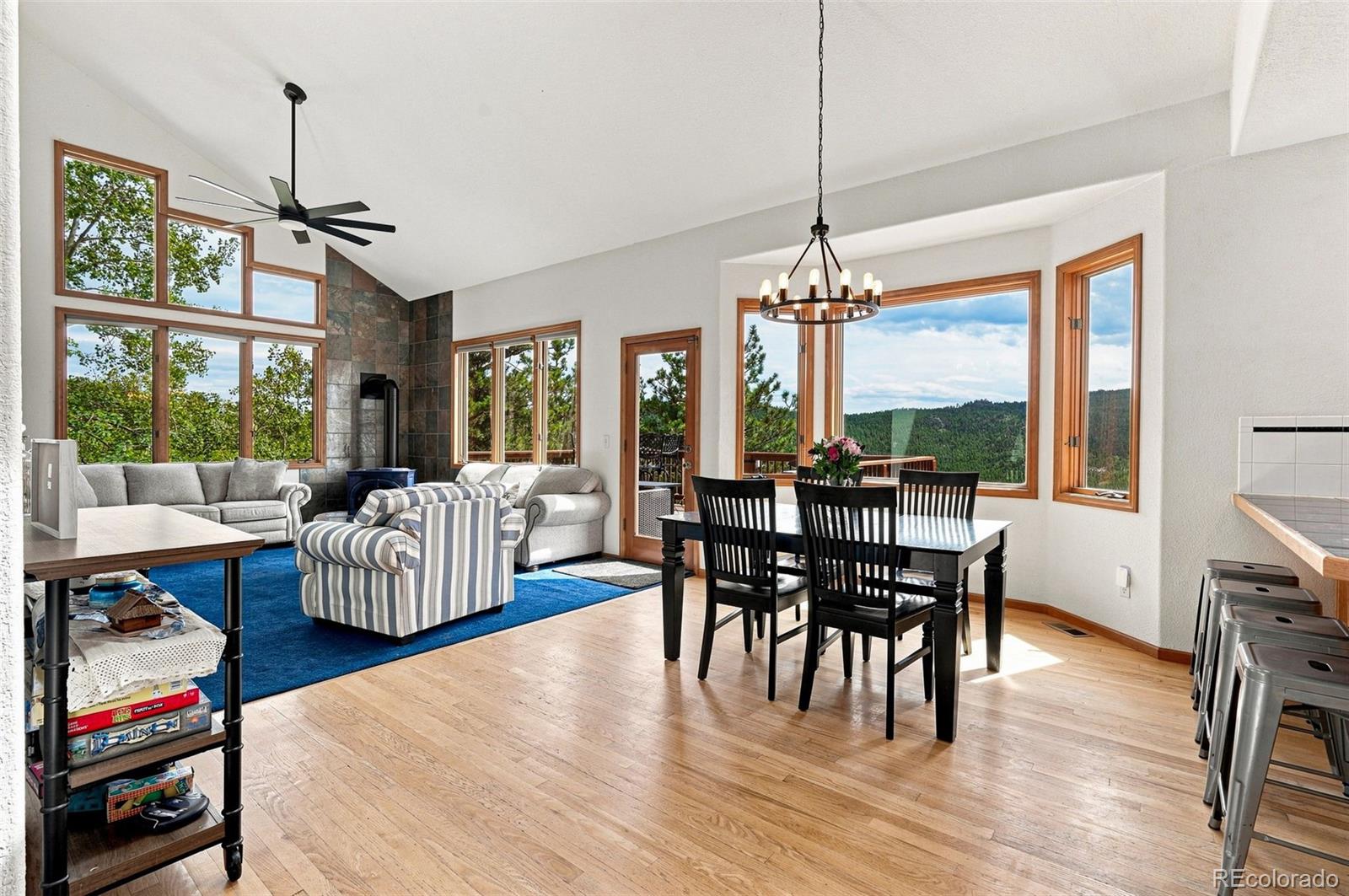 MLS Image #9 for 3612  ridge road,nederland, Colorado