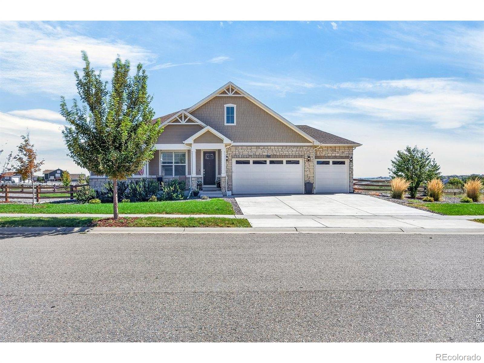 MLS Image #49 for 15774  spruce street,thornton, Colorado