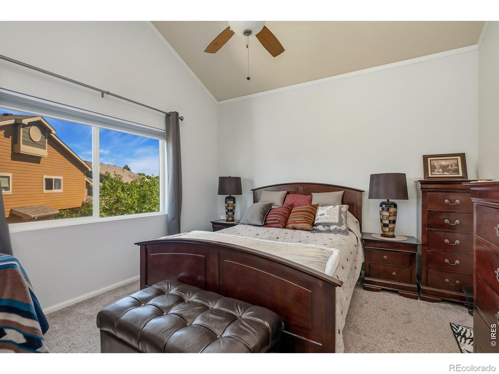 MLS Image #10 for 230  carina circle,loveland, Colorado