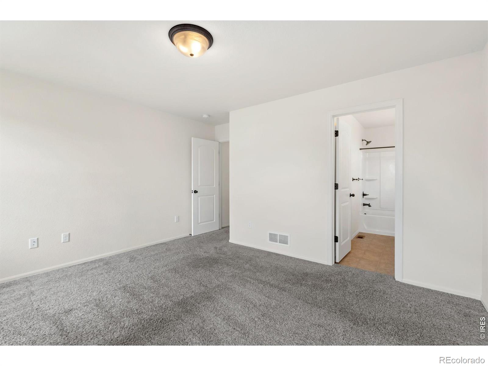 MLS Image #18 for 1723  thrive drive,windsor, Colorado